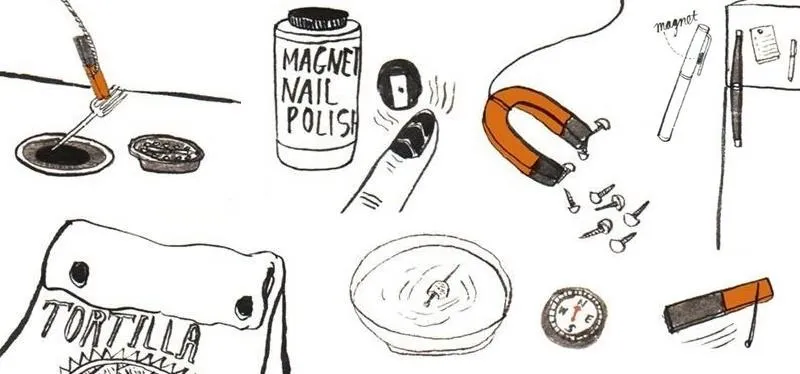 Illustration of various objects including a magnet, nail polish, tortilla, and other items.